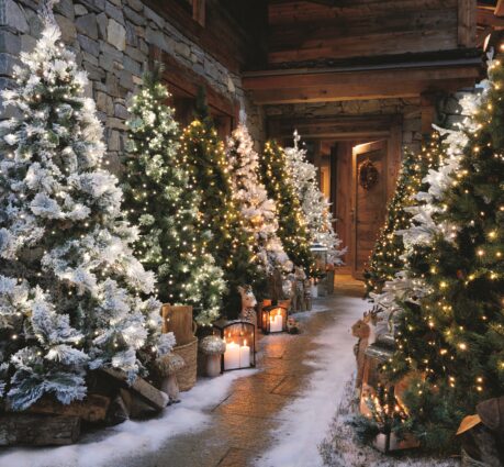 ¿cómo se convirtió el conejo de navidad en la estrella de la fiesta?