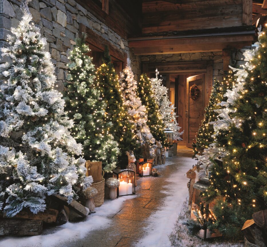 Comment le sapin de Noël est-il devenu la star des fêtes ?