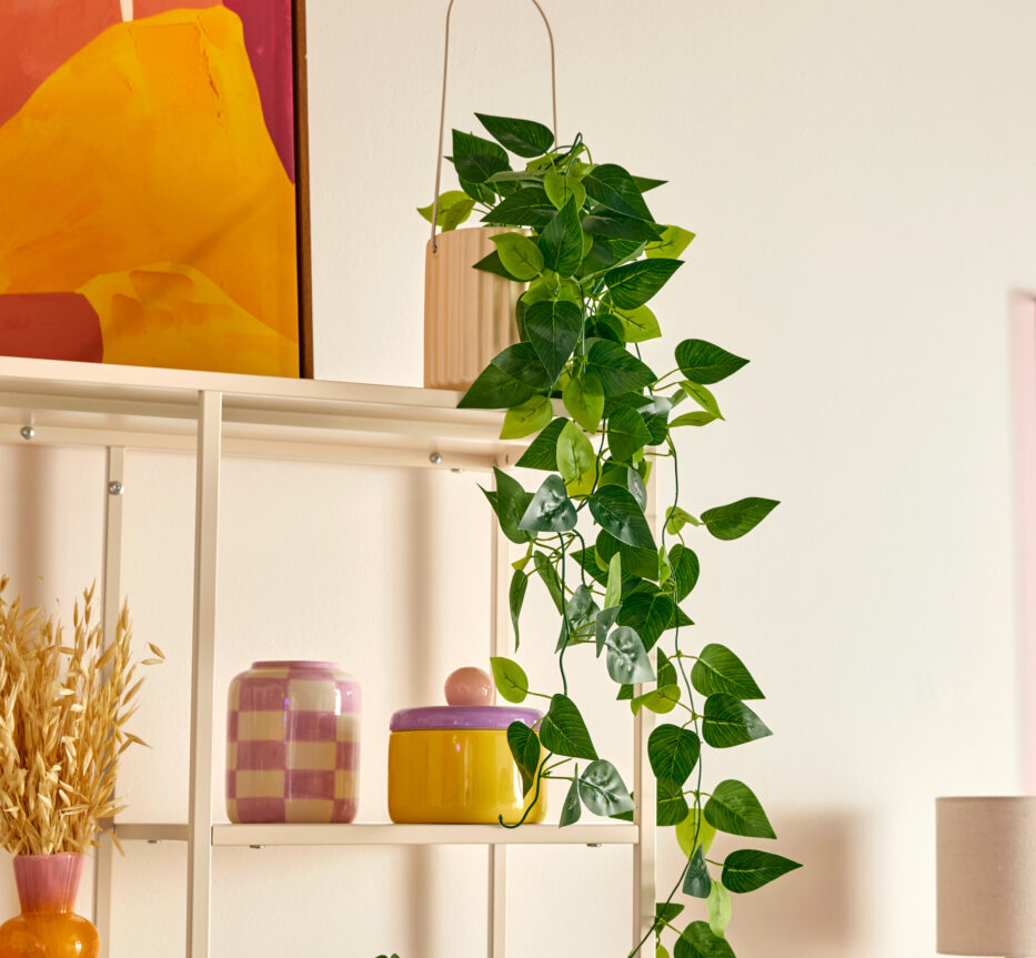Le mobilier qui fait respirer vos plantes : tables, étagères, supports